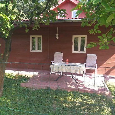 Апартаменты Rustic Country House In Снагов Экстерьер фото