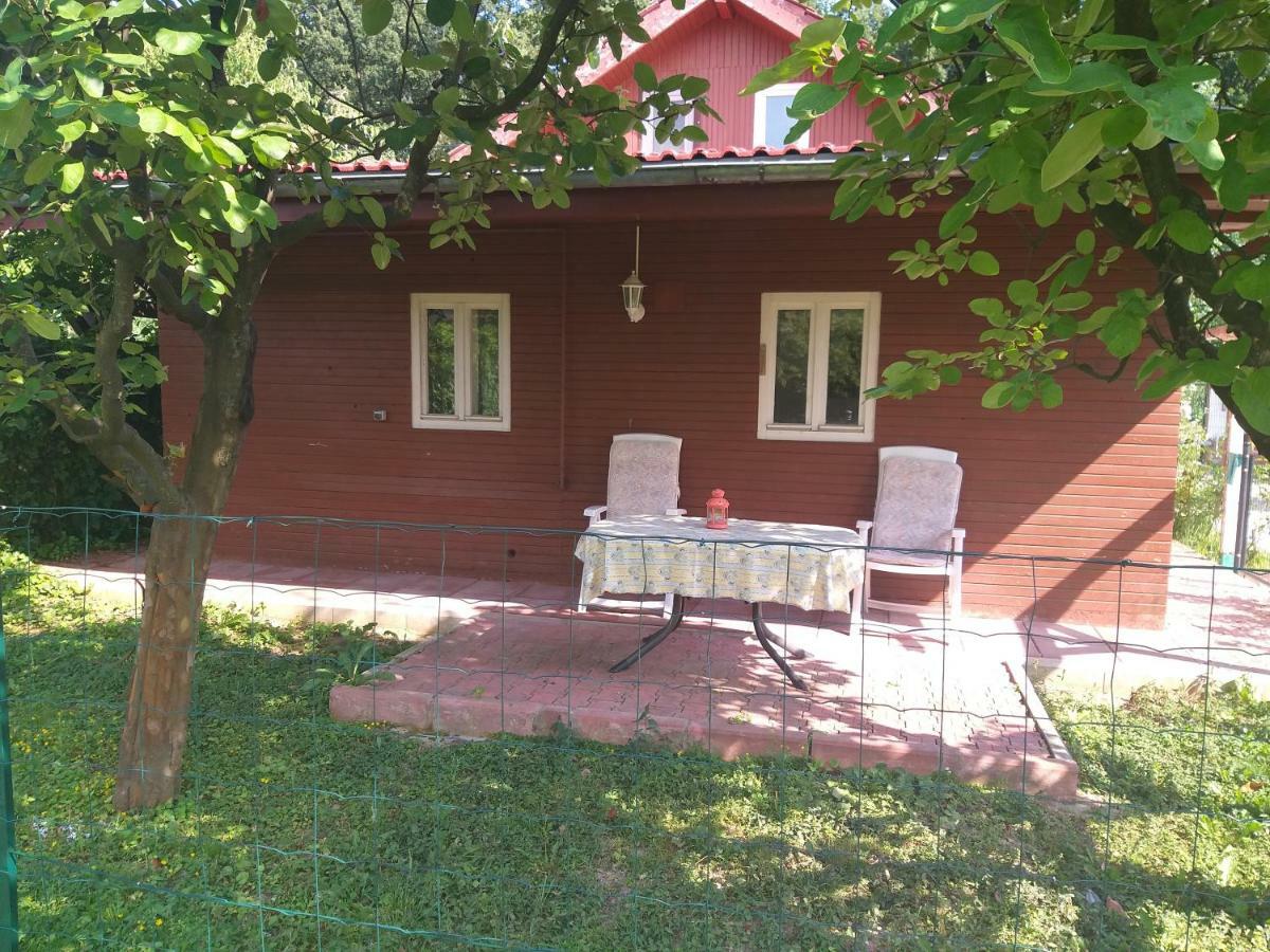 Апартаменты Rustic Country House In Снагов Экстерьер фото